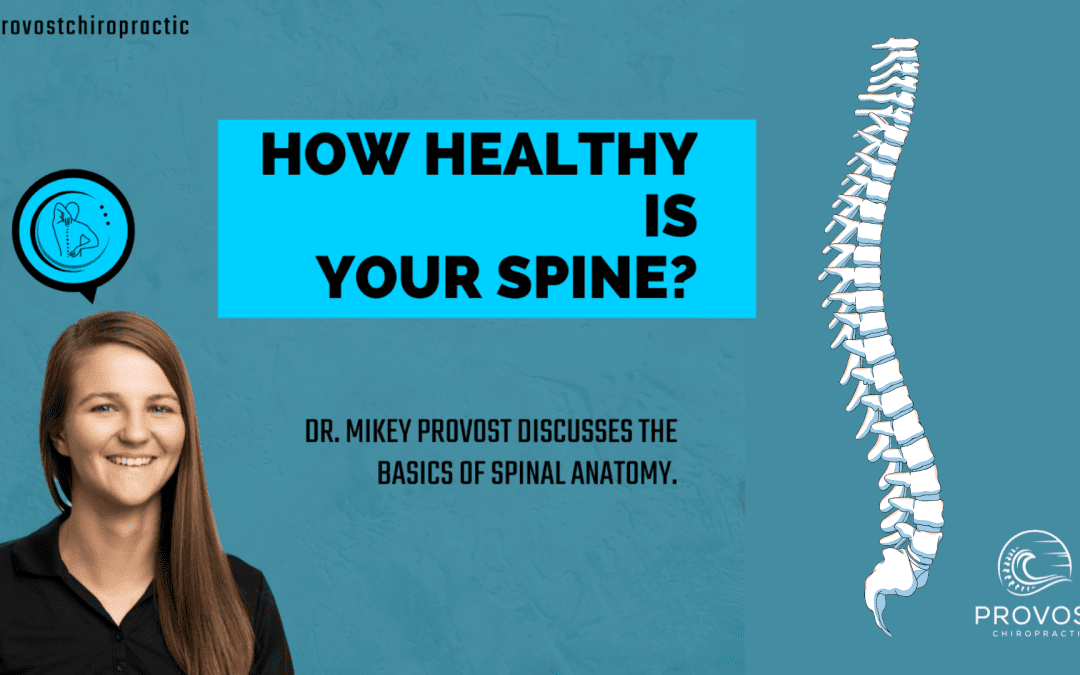How Healthy is your Spine?